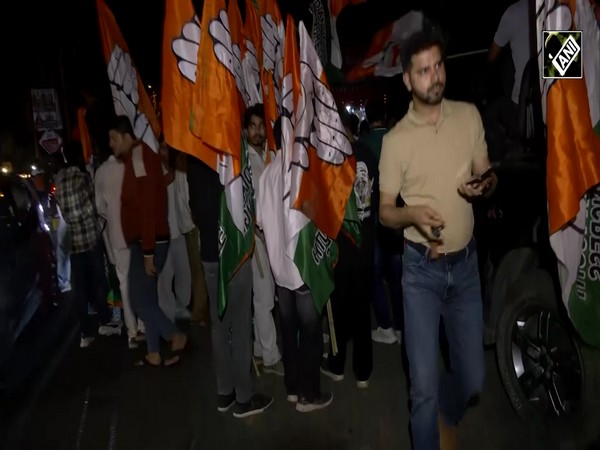 AI Summit protest case: Indian Youth Congress President Udai Bhanu Chib released from Jail
