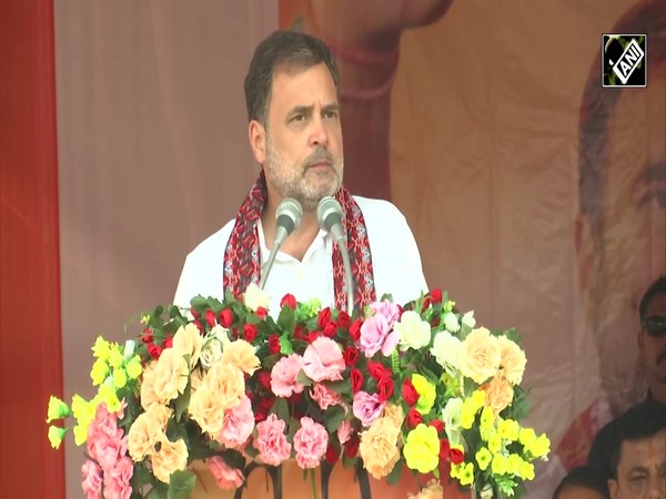 “कांग्रेस के बब्बर शेर इसे जेल में”: Rahul Gandhi vows to put Assam CM Himanta Sarma behind the bar