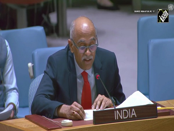 ‘Accept consequences...’ India’s direct warning to Pakistan at UNSC over cross-border terrorism