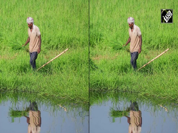 Nanded farmer found dead after alleged kidnapping, assault by loan recovery agents over ₹10,000 dues
