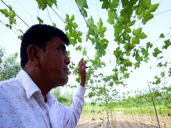 Gujarat’s digital push brings transparency and growth to farming