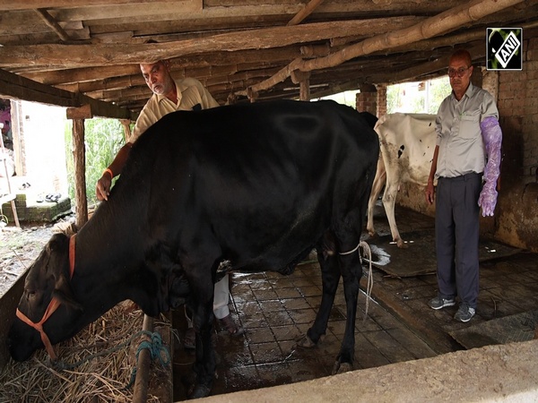 Gujarat’s Dairy Hero: Deepak Patel and the Science of Better Breeding
