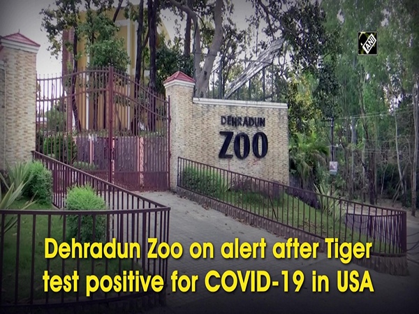 Dehradun Zoo on alert after Tiger test positive for COVID-19 in USA