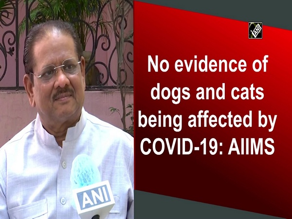 No evidence of dogs and cats being affected by COVID-19: AIIMS