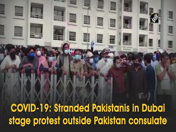 COVID-19: Stranded Pakistanis in Dubai stage protest outside Pakistan consulate