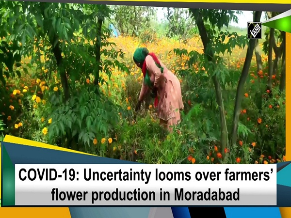 COVID-19: Uncertainty looms over farmers’ flower production in Moradabad