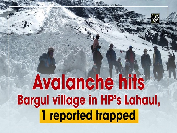 Avalanche hits Bargul village in HP’s Lahaul, 1 reported trapped