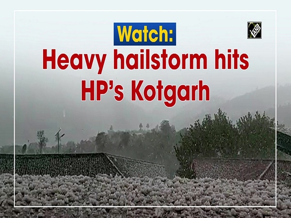 Watch: Heavy hailstorm hits HP’s Kotgarh