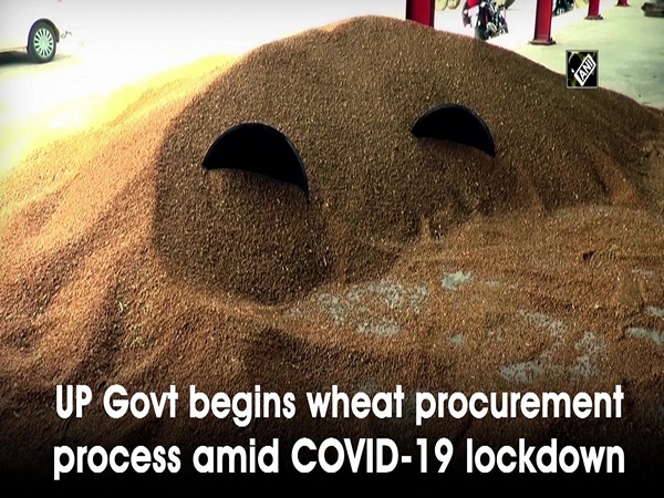 UP Govt begins wheat procurement process amid COVID-19 lockdown