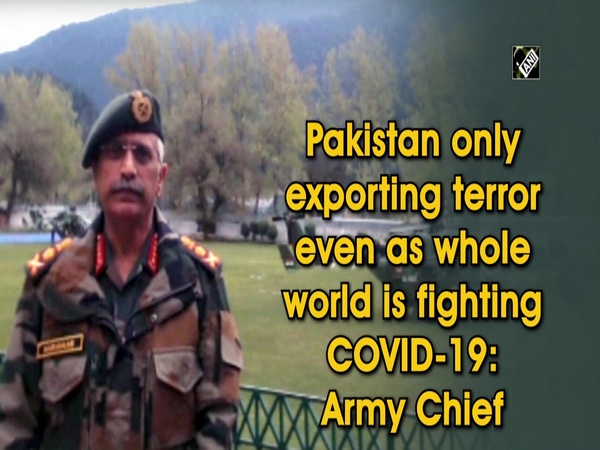 Pakistan only exporting terror even as whole world is fighting COVID-19: Army Chief