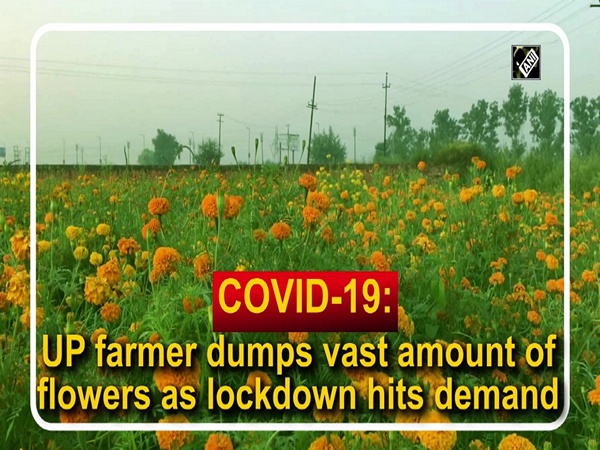 COVID-19: UP farmer dumps vast amount of flowers as lockdown hits demand