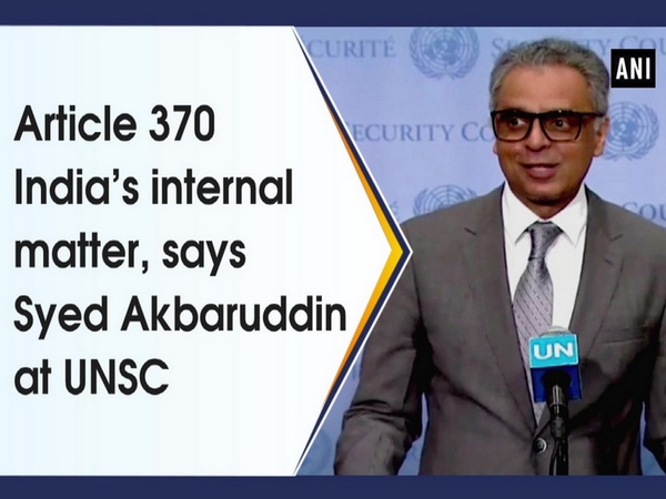 Article 370 India’s internal matter, says Syed Akbaruddin at UNSC