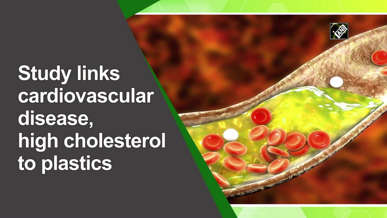 Study links cardiovascular disease, high cholesterol to plastics
