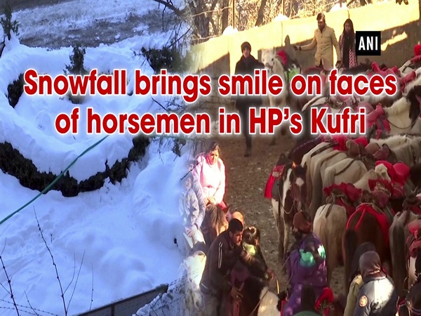 Snowfall brings smile on faces of horsemen in HP’s Kufri