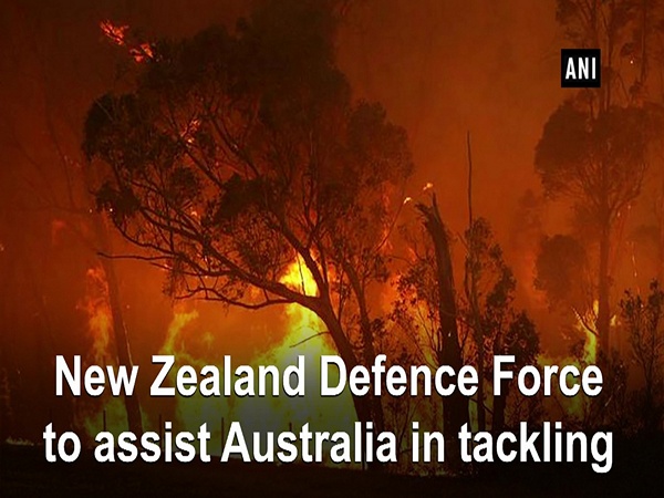 New Zealand Defence Force to assist Australia in tackling bushfires