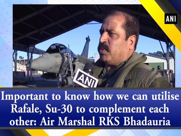 Important to know how we can utilise Rafale, Su-30 to complement each other: Air Marshal RKS Bhadauria