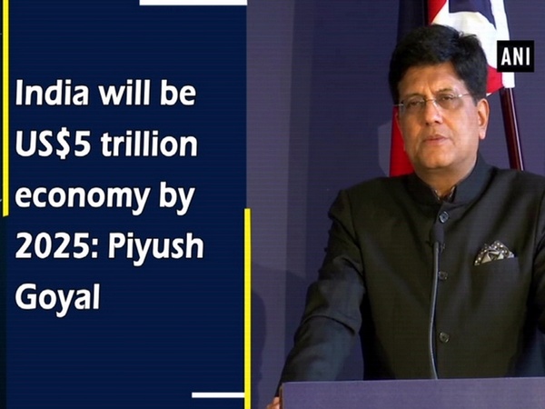 India will be US$5 trillion economy by 2025: Piyush Goyal
