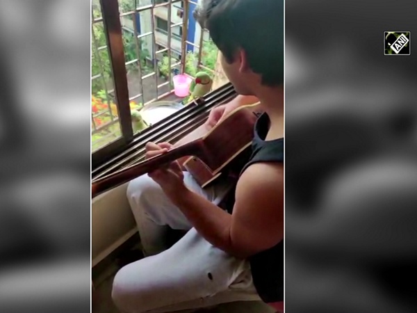 Watch: Mumbai guitarist entertains parrots through his windowpane