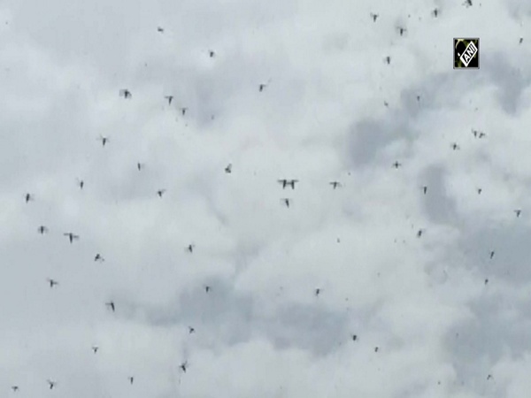 Locust swarms enter Gurugram