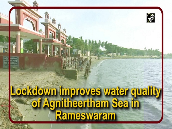 Lockdown improves water quality of Agnitheertham Sea in Rameswaram