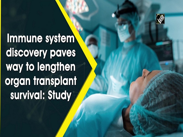 Immune system discovery paves way to lengthen organ transplant survival: Study