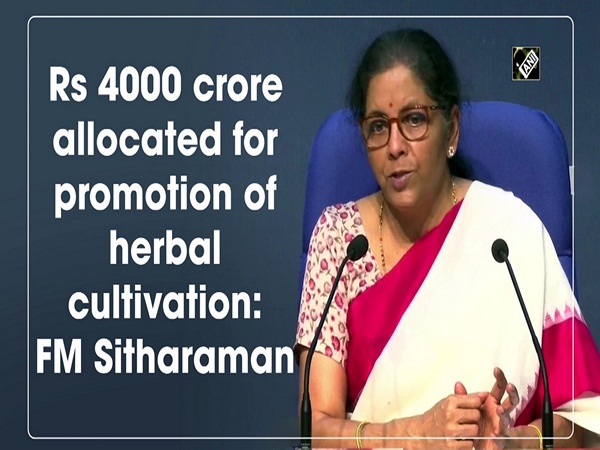 Rs 4000 crore allocated for promotion of herbal cultivation: FM Sitharaman
