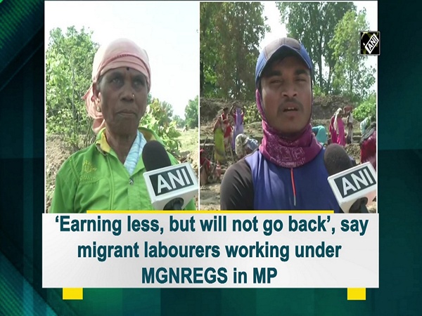 ‘Earning less, but will not go back’, say migrant labourers working under MGNREGS in MP
