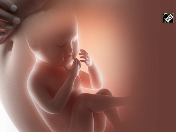 Study reveals exposure to 'good bacteria' during pregnancy buffers risk of autism-like syndrome