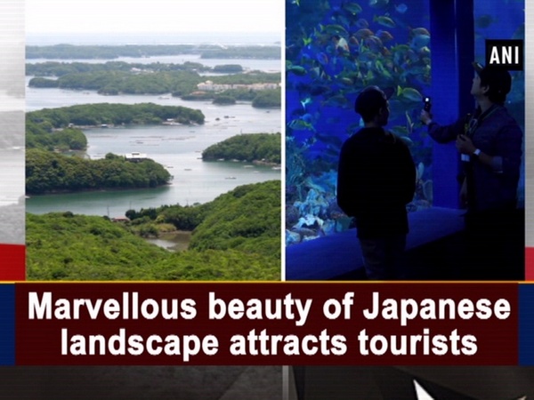 Marvellous beauty of Japanese landscape attracts tourists