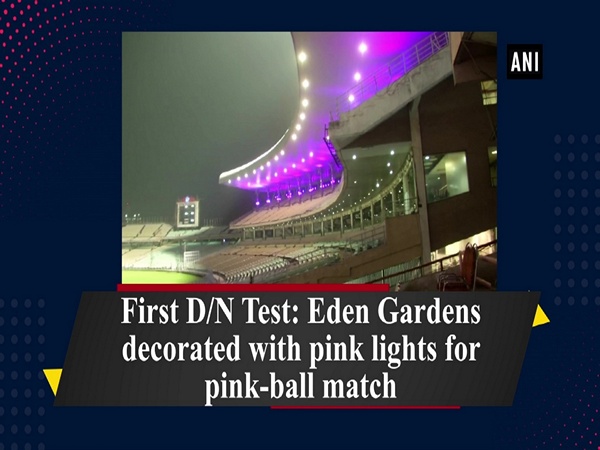 First D/N Test: Eden Gardens decorated with pink lights for pink-ball match