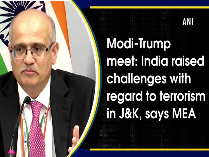 Modi-Trump meet: India raised challenges with regard to terrorism in J&K, says MEA