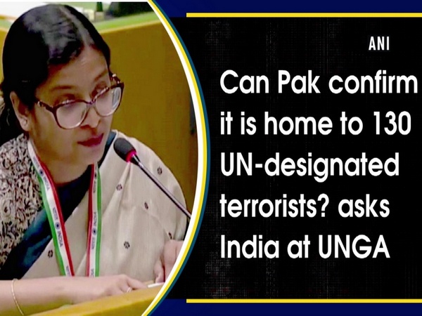 Can Pak confirm it is home to 130 UN-designated terrorists? asks India at UNGA