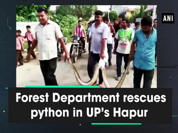 Forest Department rescues python in UP’s Hapur